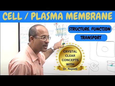 Cell or Plasma Membrane | Structure , Function & Transport🧬