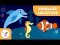 Animales Acuáticos