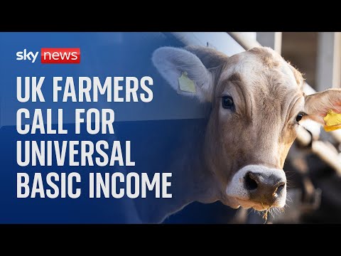 UK farmers call for universal basic income as they struggle to 'break even'