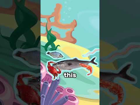 Fish with a surprise