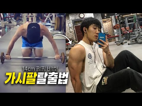멸치에서 팔근육 <strong>13CM</strong> 늘렸던 법칙과 운동법 (가시팔 헬린이가 보면 베스트!)