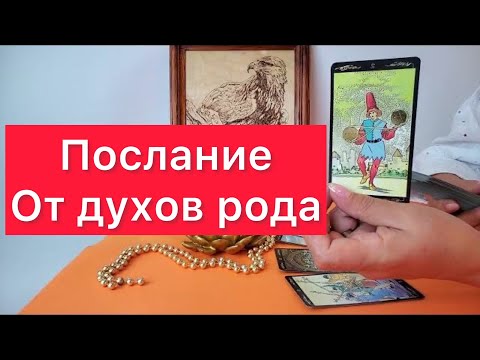 ‼️Срочное послание от духов рода⚠️Расклад на картах таро🧿🪬