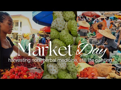 Market Day |  Medicinal foods, harvesting noni, painting still life 🥑