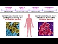 Infectious Disease Concepts and Terminology