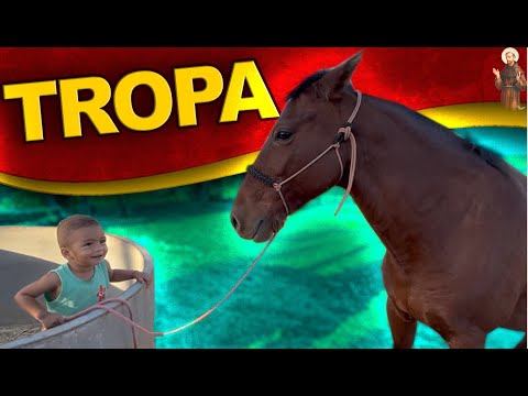 Separando os cavalos para Cavalgada