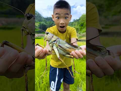 Tried grilled grasshoppers? #shorts #tiktok #foryou #fyp #food #langlieu