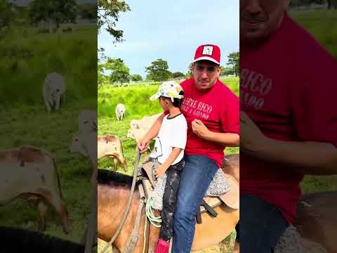 Finca ganadera