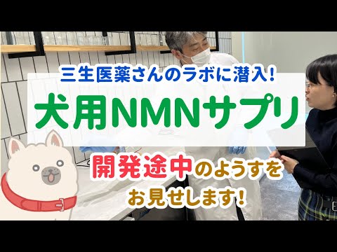 初公開！犬用NMNサプリの開発風景をお届けします！