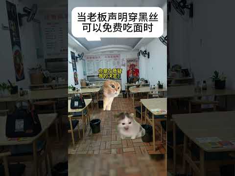 猫の動画サムネイル - 当老板说穿黑丝可以免费吃面时#有趣 #猫meme #猫meme剧场 #内容过于真实  #故事 #貓 #猫猫meme小剧场 #喵不可言