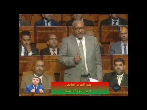(02)لشكر، العايض حول مساهمة الانتاج المعدني في تنمية الاقاليم الجنوبية الشرقية