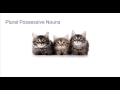 Exploring Plural Possessive Nouns