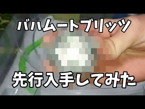バハムートブリッツ先行入手してみた