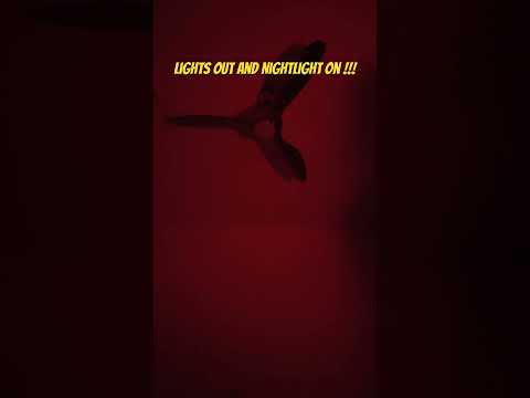 Lights Out and Nighlight On !!!