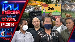 สยองกลางกรุง! "สิงโต" รุมขย้ำเจ้าหน้าที่ดับคาสวนสัตว์! l EP.2016 l 11 ก.ย.68 l#โหนกระแส