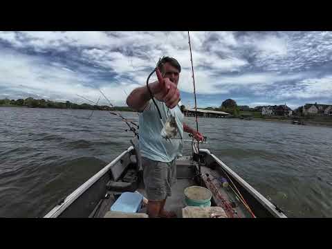 Simple Trick To Get Big Catfish To Bite