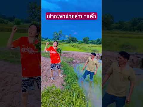 เผื่อชีวิตดีขึ้นเนอะ🤣🤣 #funny #funnyvideo #comedy #goldenretreiver #คลายเคลียด