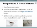 Understanding Starch and Gluten Concepts