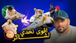 ما توقعت ردّة فعله لما شاف الحيوانات عندي!! 😱🐅 (زيارة نارية!)