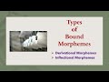 Understanding Morphemes and Their Functions