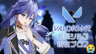 【 VALORANT | ソロ 】1人でも明るいVALO（予定）【 水無世燐央 l UPROAR!! 】