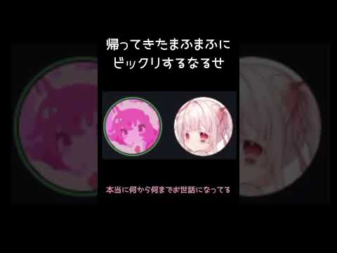 帰ってきたまふまふ【まふまふ×なるせ】#shorts