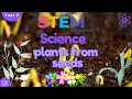 Plant Growth and Essential Needs