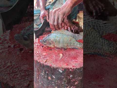 See How The Fastest Tilapia Fish Is Harvested At The Fish Market😳😦 || #shorts #fishcutting_skills