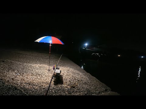 クソ暑い真夏のキス釣りは快適な夜釣りという選択肢もあるよ！