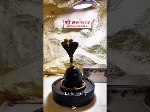 Kachnar City 🌸 #Jabalpur #KachnarCity #TravelVlog #CityTour #HiddenGems #trending #new #ytshorts