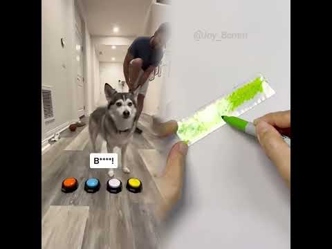 Thank you for watching, thank you for liking, I wish you happiness. #pov #foryou #storytime #fyp