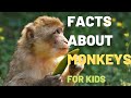 Monkey Behavior and Conservation Concepts