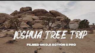 Joshua Tree solo birthday trip! (DJI Action 5 Pro vlog)