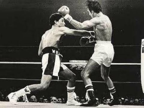 Wilfredo Gomez Vs Carlos Zarate Highlights (WBC Title)