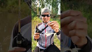 สายเหยื่อสด มีตัวเป็นโดน🎣😆🤣 #ตกปลา #สายเหยื่อสด