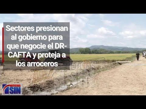 Sectores presionan al gobierno para que negocie el DR-CAFTA y proteja a los arroceros