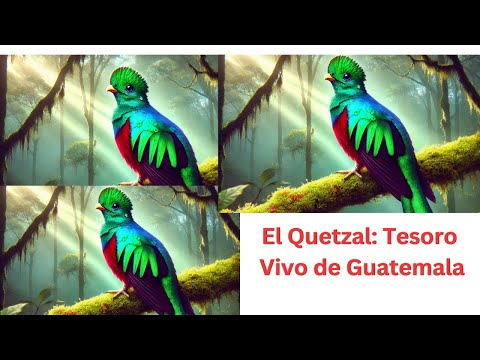 El Quetzal: Tesoro Vivo de Guatemala