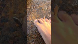 It's Dangerous to walk that beach without metal detector 😱