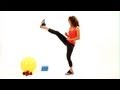 Backward Lunge and Front Kick Techniques