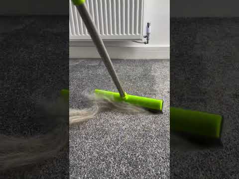 Get the Broom using LlNK lN BlO💁🏼‍♀️ #pethairremoval #cleantok #pethairremover #pethairremovaltool