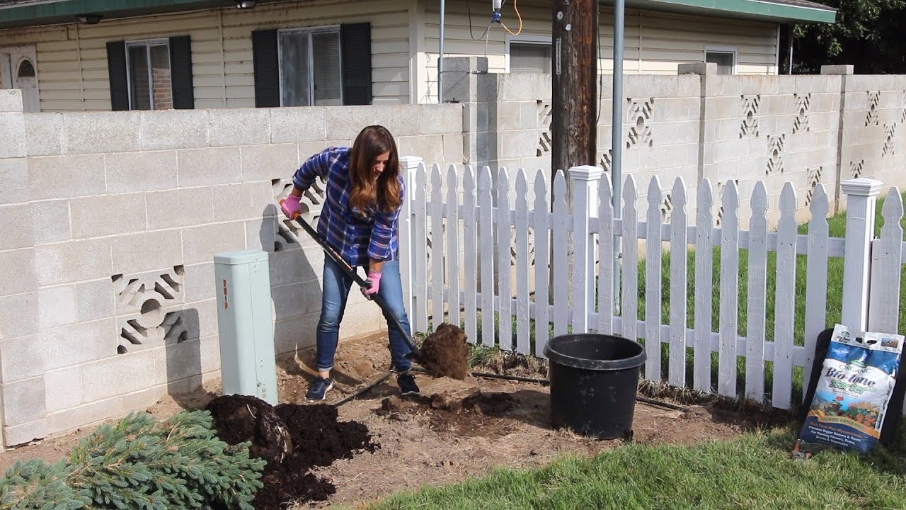 Landscape Makeover Part 2: Planting for Winter Interest & Running Drip Irrigation!