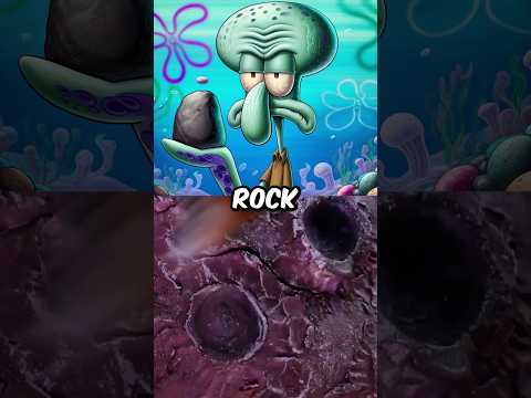 Will The Boys Find Patrick's Pet Rock?! #shorts