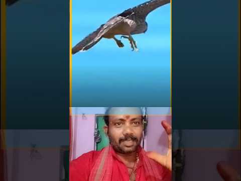 ప్రాక్టీస్ చేస్తే 🤔😱🙏#telugu #shortvideo #shorts
