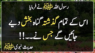 Deen e Islam in Urdu | Hadees Sharif | Hadith | اس کے تمام گذشتہ گناہ بخش دیے جائیں گے