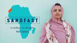 SANDFAST #35: Greenwashing an occupation - WSRW coordinator Sara Eyckmans