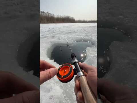 Ice Fishing | Drilling Ice Hole Fishing | #shorts #icefishing