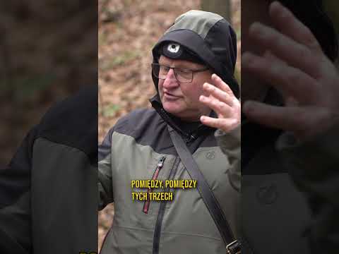 Czy Piotr Koper odkrył tunel w Wałbrzychu? #zlotypocag #walbrzych #piotrkoper #shorts