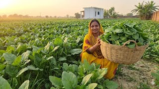 भीषण गर्मी में बनाया आलू पालक बेसन डालकर ऐसी लाजवाब सब्जी जो दो कीजगह चार रोटियां खानेपर मजबूर कर दे