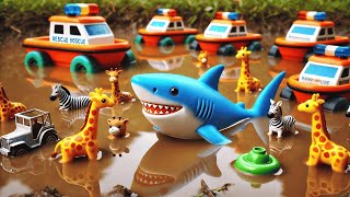 Exciting Animal Truck Adventure on the River | Sharks Meet Farm Animals! | TOTOTV