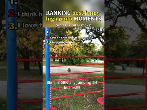 Ranking Funny high jump Moments