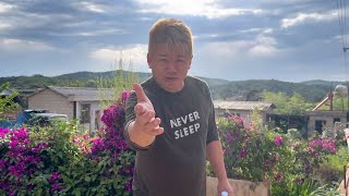 ジャングリアが叩かれてる件について解説します